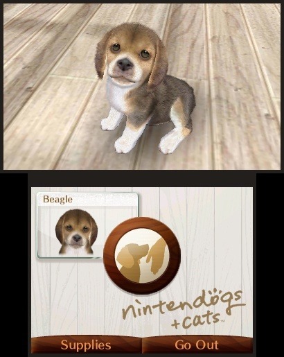 Pantallazo de Nintendogs + Gatos: Bulldog Frances Y Nuevos Amigos para Nintendo 3DS