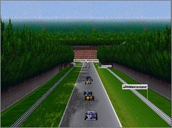 Pantallazo de Official Formula 1 Racing para PC