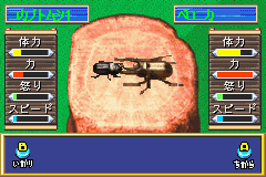 Pantallazo de Our Breeding Series - My Beetle (Japonés) para Game Boy Advance
