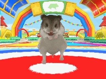 Pantallazo de Petz: Hamster Superstar (Dsi Ware) para Nintendo DS