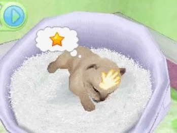 Pantallazo de Petz: Nursery (Dsi Ware) para Nintendo DS