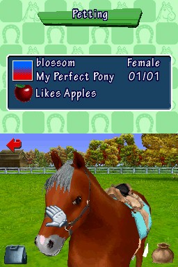 Pantallazo de Pony Friends para Nintendo DS