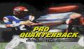 Pantallazo nº 30117 de Pro Quarterback (256 x 224)