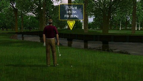 Pantallazo de Pro Stroke Golf: World Tour 2007 para PSP
