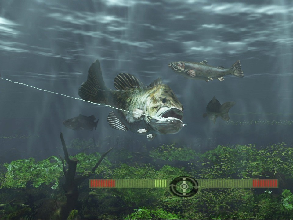 Pantallazo de Rapala Fishing Frenzy 2009 para PlayStation 3