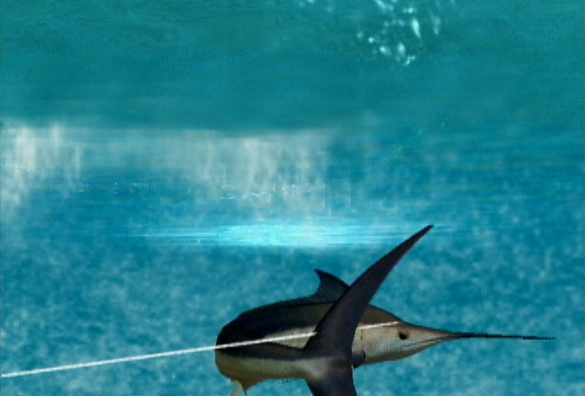 Pantallazo de Reel Fishing: Angler's Dream para Wii