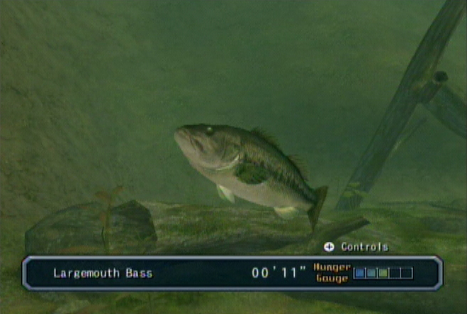 Pantallazo de Reel Fishing: Angler's Dream para Wii