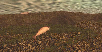 Pantallazo de Reel Fishing: Life & Nature para PSP
