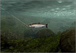 Pantallazo de Reel Fishing III para PlayStation 2
