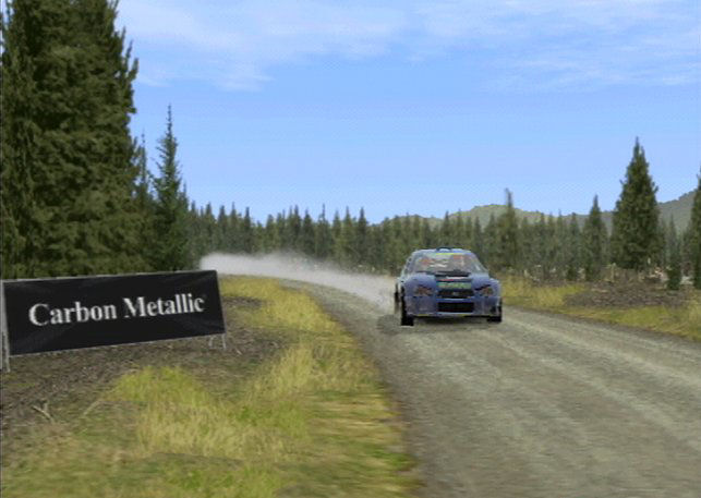 Pantallazo de Richard Burns Rally para PlayStation 2