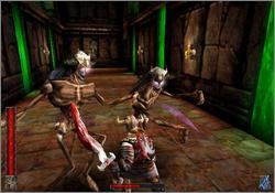Pantallazo de Rune: Viking Warlord para PlayStation 2