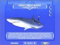 Pantallazo de Shark! Hunting the Great White para PC
