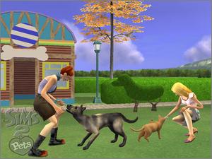 Pantallazo de Sims 2: Pets, The para GameCube
