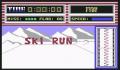 Pantallazo nº 13292 de Ski Run (331 x 209)