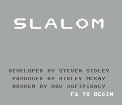 Pantallazo de Slalom para Commodore 64