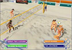 Pantallazo de Summer Heat Beach Volleyball para PlayStation 2