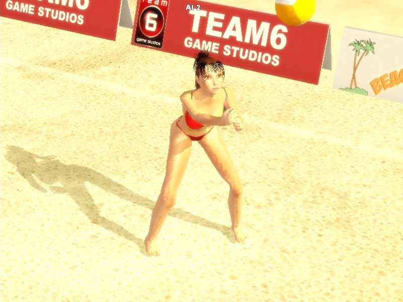Pantallazo de Sunshine Beach Volleyball para PC