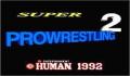 Pantallazo nº 98098 de Super Fire Pro Wrestling 2 (Japonés) (250 x 217)