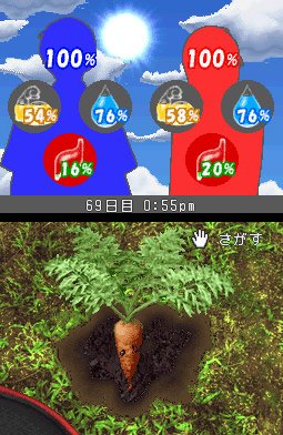 Pantallazo de Survival Kids: Lost in Blue (Japonés) para Nintendo DS