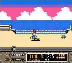Pantallazo de T&C Surf Designs: Wood & Water Rage para Nintendo (NES)
