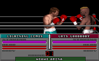 Pantallazo de TV Sports Boxing para PC