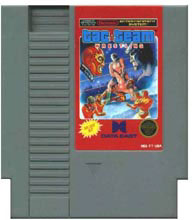 Caratula de Tag Team Wrestling para Nintendo (NES)