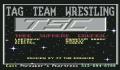 Pantallazo nº 13489 de Tag Team Wrestling (332 x 222)