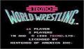 Foto 1 de Tecmo World Wrestling