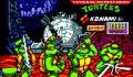 Pantallazo nº 6752 de Teenage Mutant Hero Turtles 2: Coin Up (322 x 200)