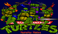 Pantallazo nº 63997 de Teenage Mutant Ninja Turtles: Manhattan Missions (320 x 200)