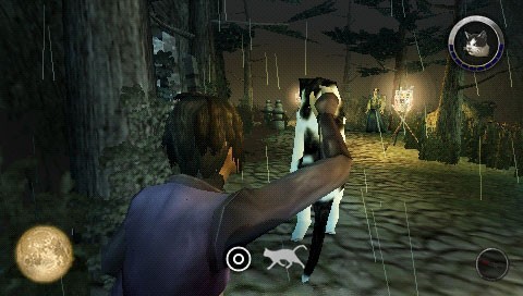 Pantallazo de Tenchu: Shadow Assassins para PSP