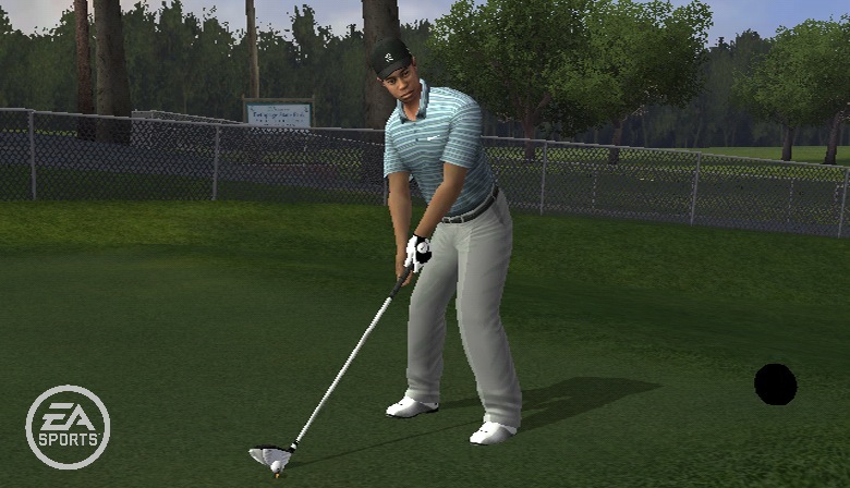 Pantallazo de Tiger Woods PGA Tour 10 para Wii