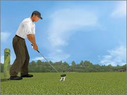 Pantallazo de Tiger Woods PGA Tour 2002 para PC