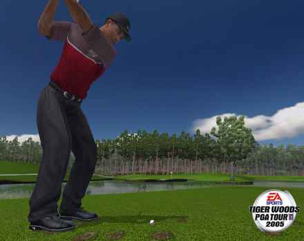 Pantallazo de Tiger Woods PGA Tour 2005 para PC