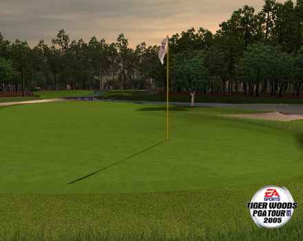 Pantallazo de Tiger Woods PGA Tour 2005 para PC