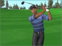 Pantallazo de Tiger Woods PGA Tour 2005 para Xbox