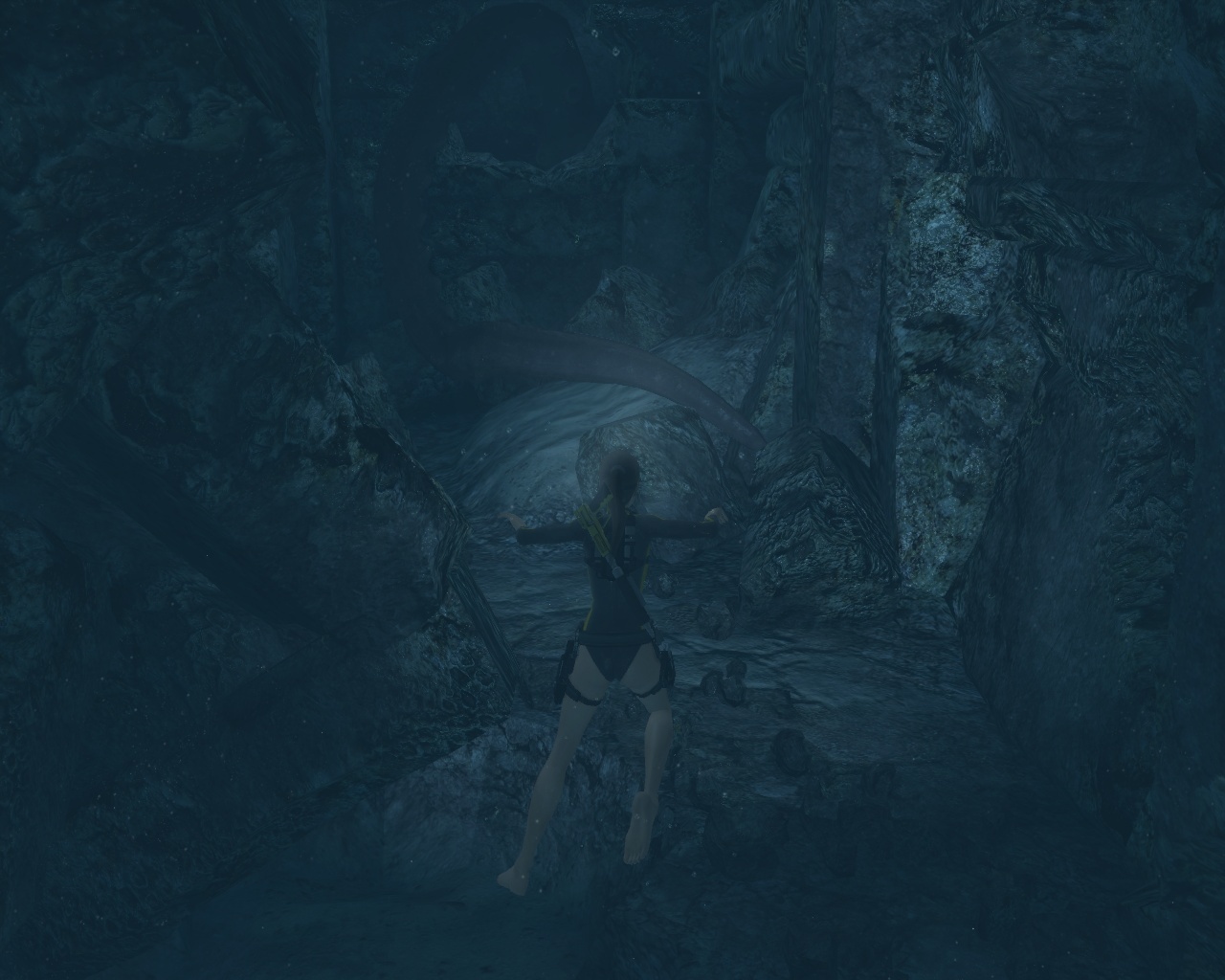 Pantallazo de Tomb Raider Underworld para PC