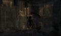 Pantallazo nº 159149 de Tomb Raider Underworld (1280 x 720)