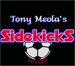 Pantallazo de Tony Meola's Sidekicks Soccer para Super Nintendo