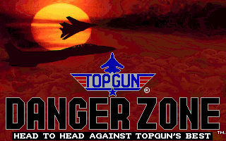 Pantallazo de Top Gun Danger Zone para PC