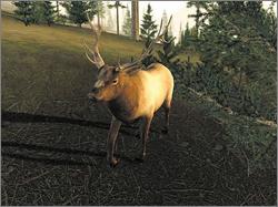 Pantallazo de Trophy Hunter 2003: Legendary Hunting para PC
