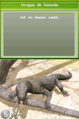 Pantallazo de Tus Amigos: Veterinarios Del Zoo para Nintendo DS