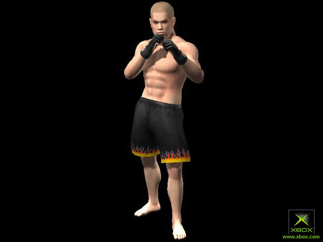 Pantallazo de UFC: Tapout para Xbox