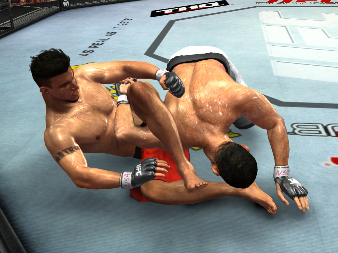 Pantallazo de UFC 2009 Undisputed para PlayStation 3