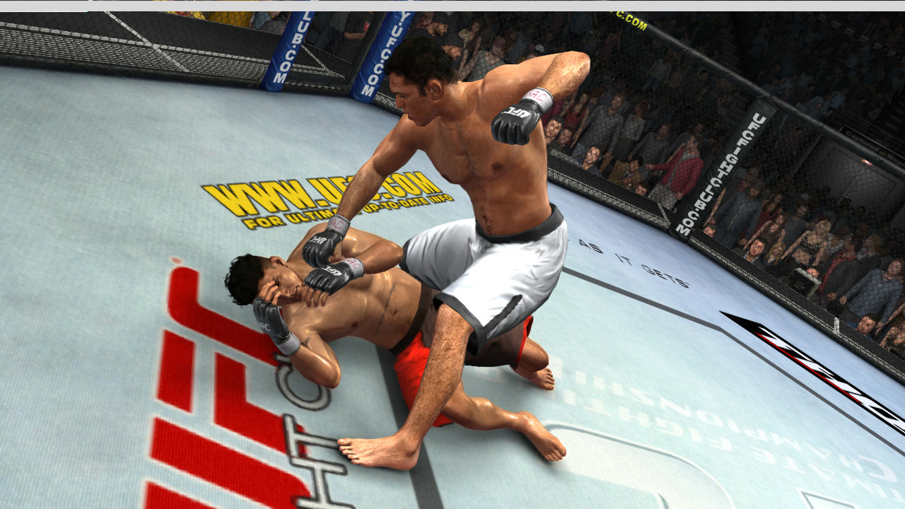 Pantallazo de UFC 2009 Undisputed para Xbox 360