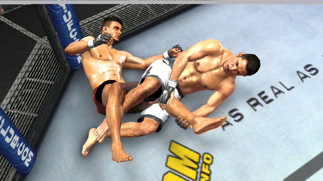 Pantallazo de UFC 2009 Undisputed para Xbox 360