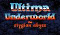 Pantallazo nº 64035 de Ultima Underworld: The Stygian Abyss (320 x 200)