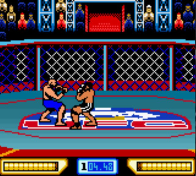 Pantallazo de Ultimate Fighting Championship para Game Boy Color