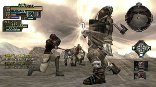 Pantallazo de Valhalla Knights: Eldar Saga para Wii