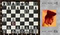 Pantallazo nº 23275 de Virtual Kasparov (300 x 199)
